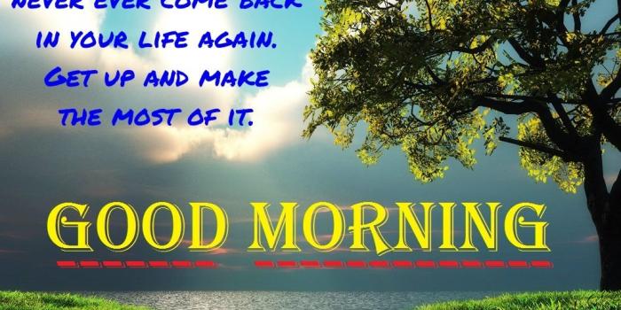 1024x768 81 Good Morning – Nature