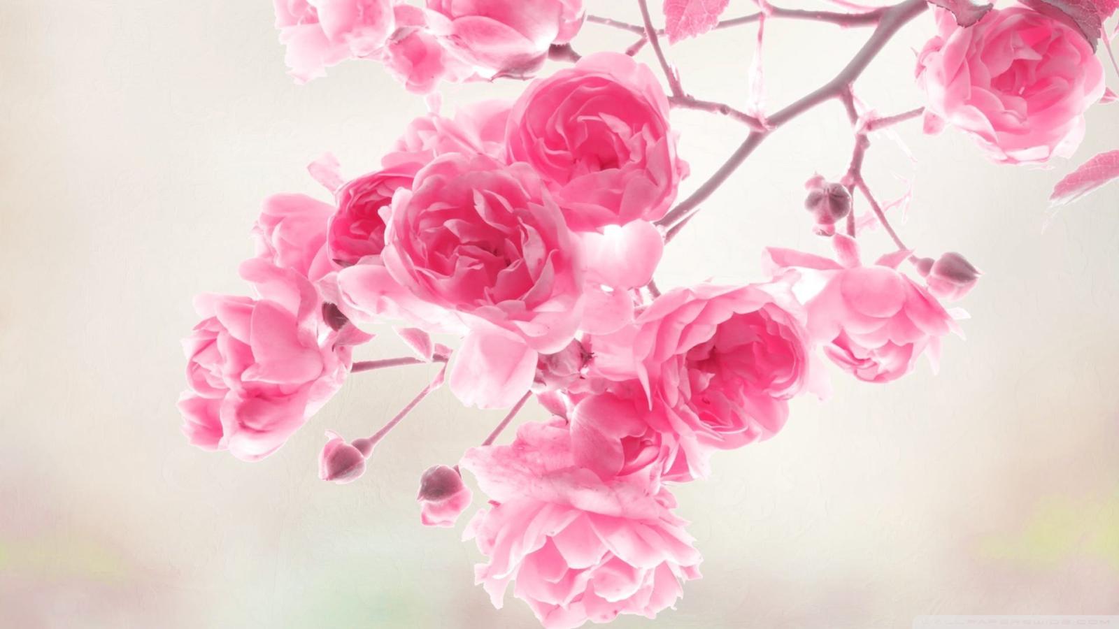 1920x1080 Download 15+ Free Floral Vintage Wallpapers