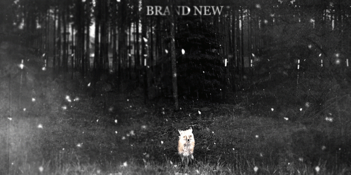 1280x800 Brand New Wallpapers