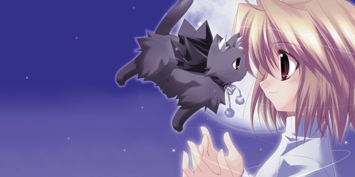 1600x1200 40+] Cute Anime Cat Wallpaper on WallpaperSafari
