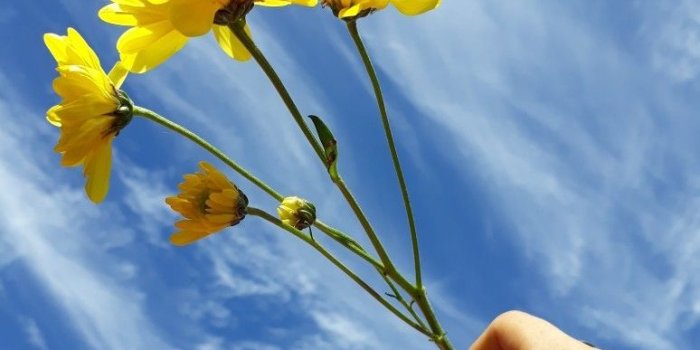 774x1032 Aesthetic Wallpaper Art Hoe – Free Download Wallpaper