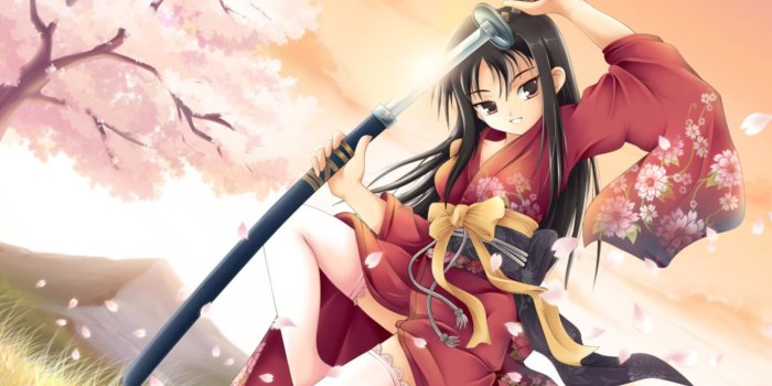 1440x900 46+] Anime Girl Warrior Wallpaper on WallpaperSafari
