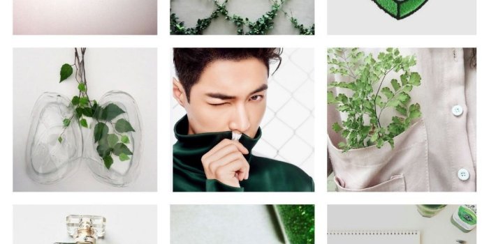 1024x1024 exo lay zhnag yixing wallpaper moodboard aesthetic gree...