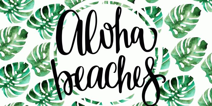 1920x1080 Summer Desktop and iPhone Backgrounds!