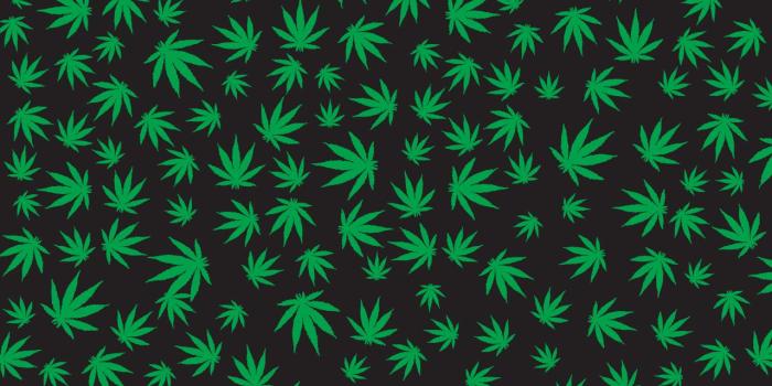 1280x800 Best 45+ Ganja Backgrounds on HipWallpaper | Ganja Wallpaper, Ganja
