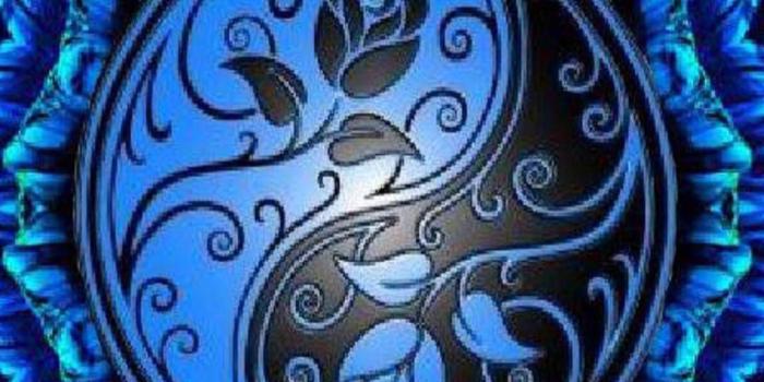 1152x2048 Flower texture | Ying Yang Wallpapers in 2019 | Ying yang wallpaper