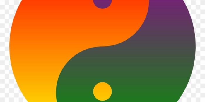 880x920 Clipart Rainbow Blend Yin Yang - Yin And Yang Png Transparent