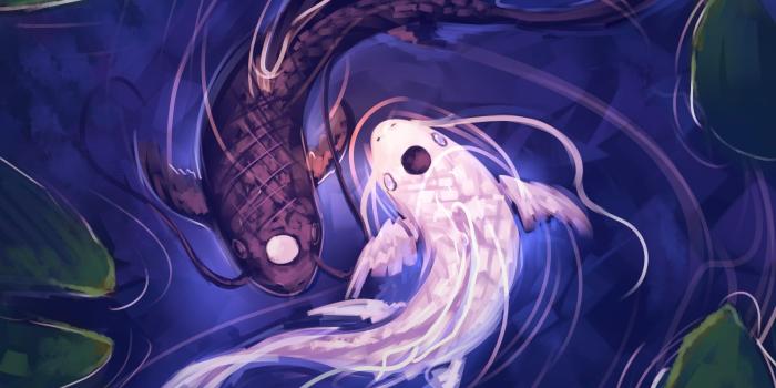 1600x1200 Yin yang koi fish digital wallpaper, artwork, fish, water, lake HD