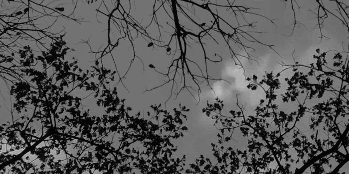 1684x2995 iPhone X Wallpaper wallpaper iphone x 364862007307082911 - iPhone X