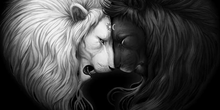 720x1280 Download Yin Yang Wallpaper By Sixty Days Now - Yin And Yang Hd Free