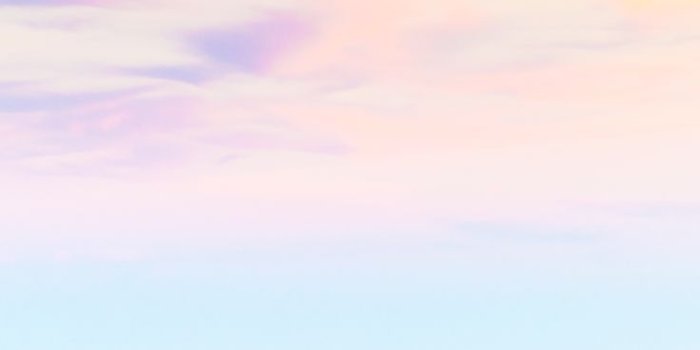 736x1308 Pink Pastel Wallpapers
