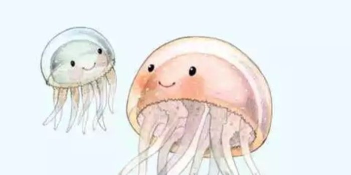 736x1306 Pastel Phone Wallpaper Group (47+), Download for free