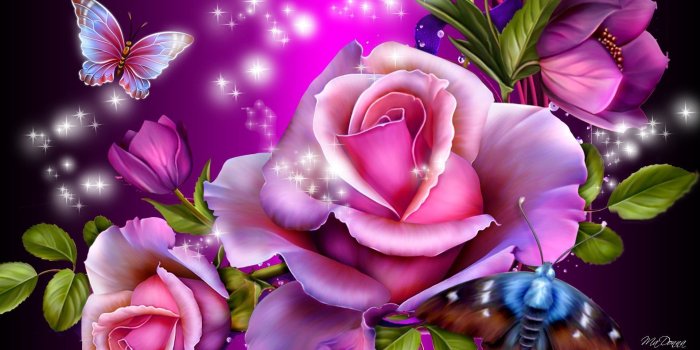 1920x1080 butterfly wallpaper | original wallpaper download: Purple roses and