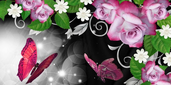1920x1080 Pink Rose Butterfly | HD Pink Roses Butterfly Shine Wallpaper