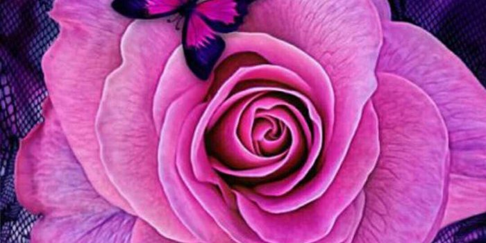 1080x1920 Pink Roses Butterfly Wallpaper - Purple Butterfly With Rose