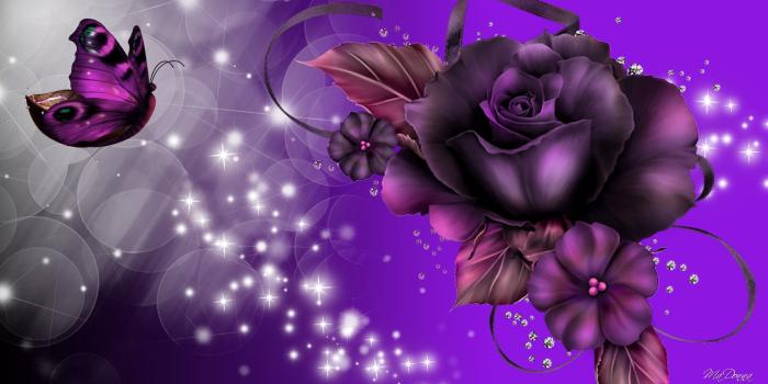1920x1080 Purple Rose And Butterfly - Purple Rose Butterfly Background