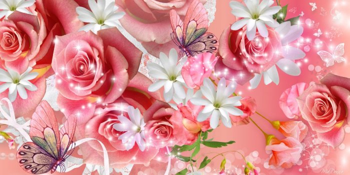 1920x1080 Pink Roses Butterflies Wide Desktop Background wallpapers HD free