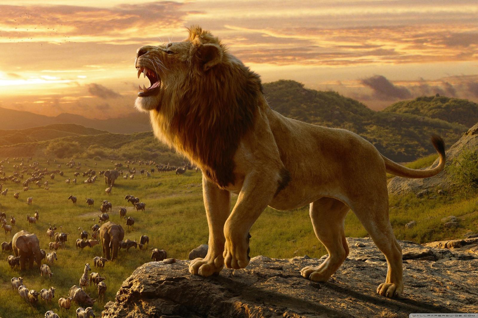 2736x1824 The Lion King 2019 ❤ 4K HD Desktop Wallpaper for 4K Ultra HD TV