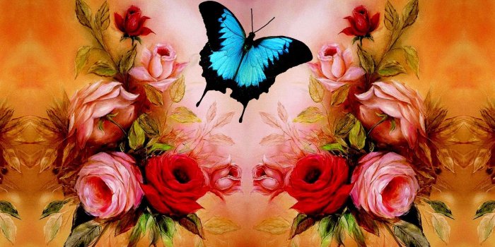 1920x1080 Roses Butterfly Wallpapers