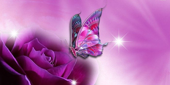 1920x1080 43+] Roses and Butterfly Wallpaper Border on WallpaperSafari