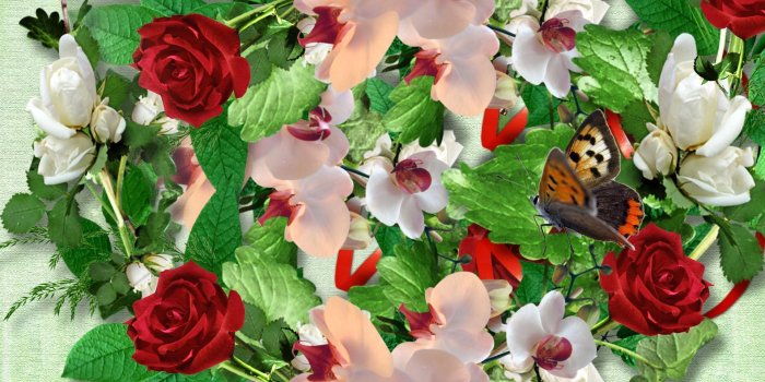 1920x1080 Roses Butterflies HD desktop wallpaper : Widescreen : High