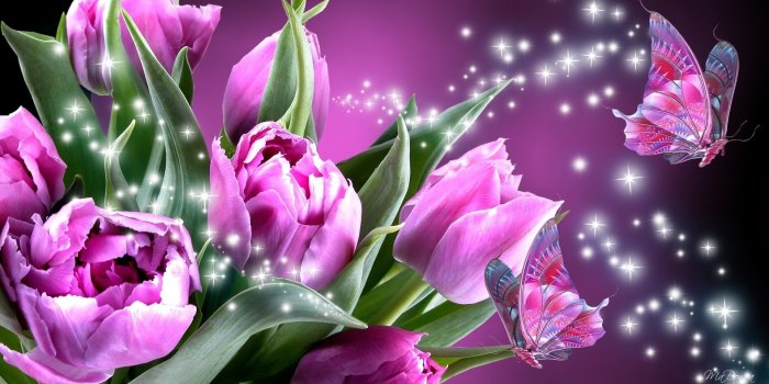 1920x1080 Purple Butterfly Wallpapers (75+ background pictures)