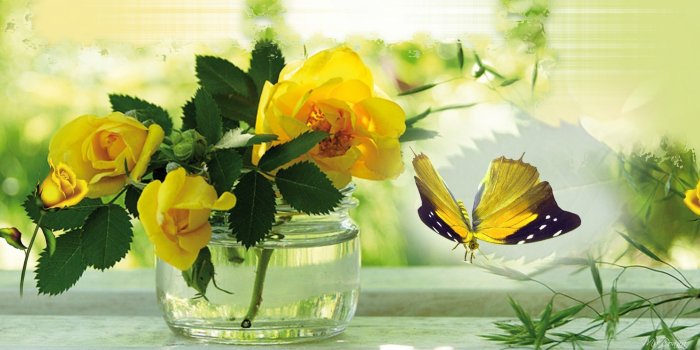 1920x1080 Rose And Butterfly Wallpaper Group (57+), HD Wallpapers