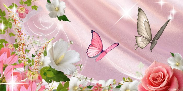 1920x1080 45+] Butterflies and Roses Wallpaper on WallpaperSafari