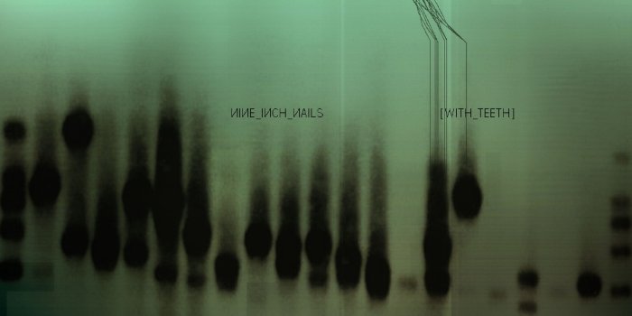 1920x1080 Download wallpaper 1920x1080 nine inch nails, background, cover