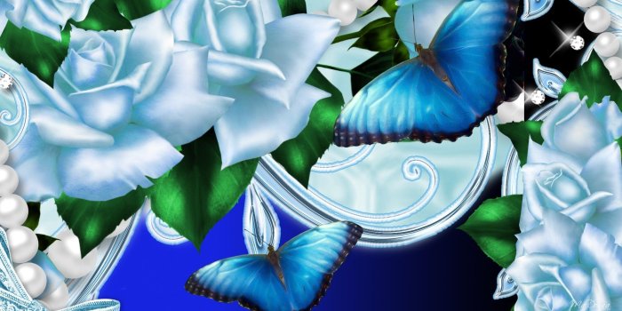 1920x1080 Summer Butterflies Butterfly Flowers Blue Roses Rose Ribbon Papillon