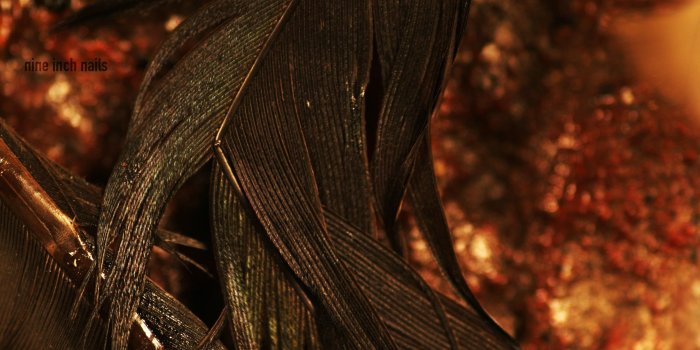 2560x1600 Black fly, Nine Inch Nails, The Downward Spiral HD wallpaper