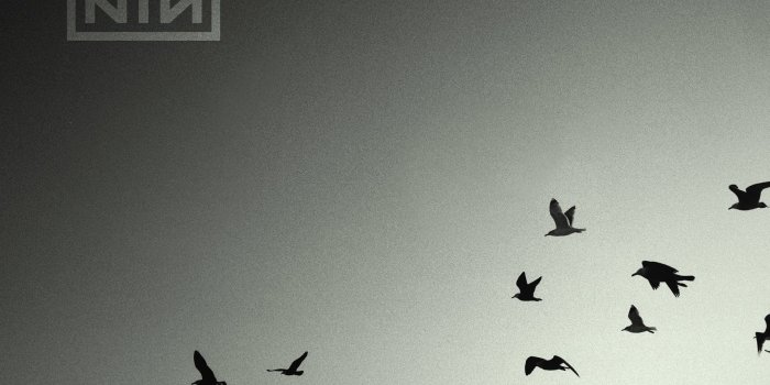 1920x1440 88 Nine Inch Nails HD Wallpapers | Background Images