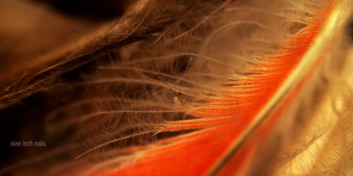 2560x1600 Nine Inch Nails - The Downward Spiral Wallpaper dump (art credit to