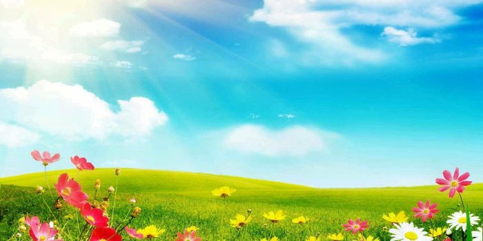 1920x1200 55+ Sunshine and Flowers Wallpapers - Download at WallpaperBro