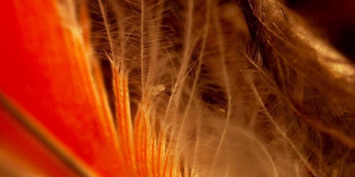 852x1136 Nine Inch Nails HD Wallpaper | Noise in 2019 | Nine inch nails, Nine