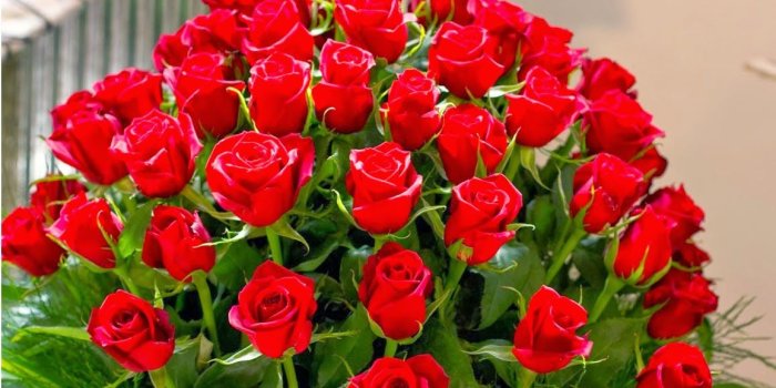 1156x786 Beautiful Flowers Wallpapers With Quotes (49+ images) on Genchi.info