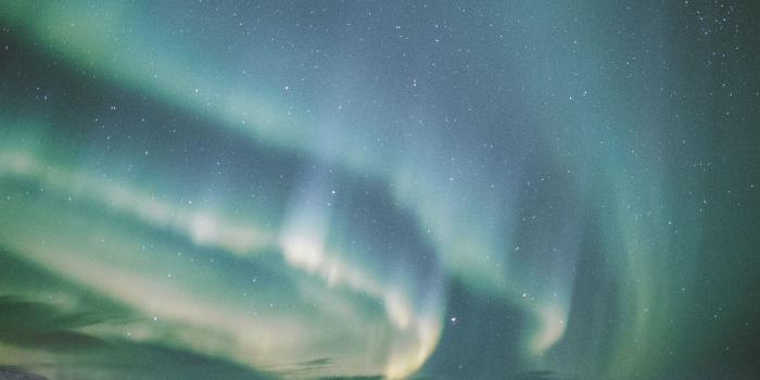 3330x4995 Northern Lights Aurora Road Snow Starry Sky - Free Stock Photos