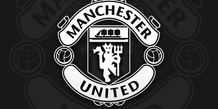 900x1600 Manchester United Logo png download - 1080*1920 - Free Transparent