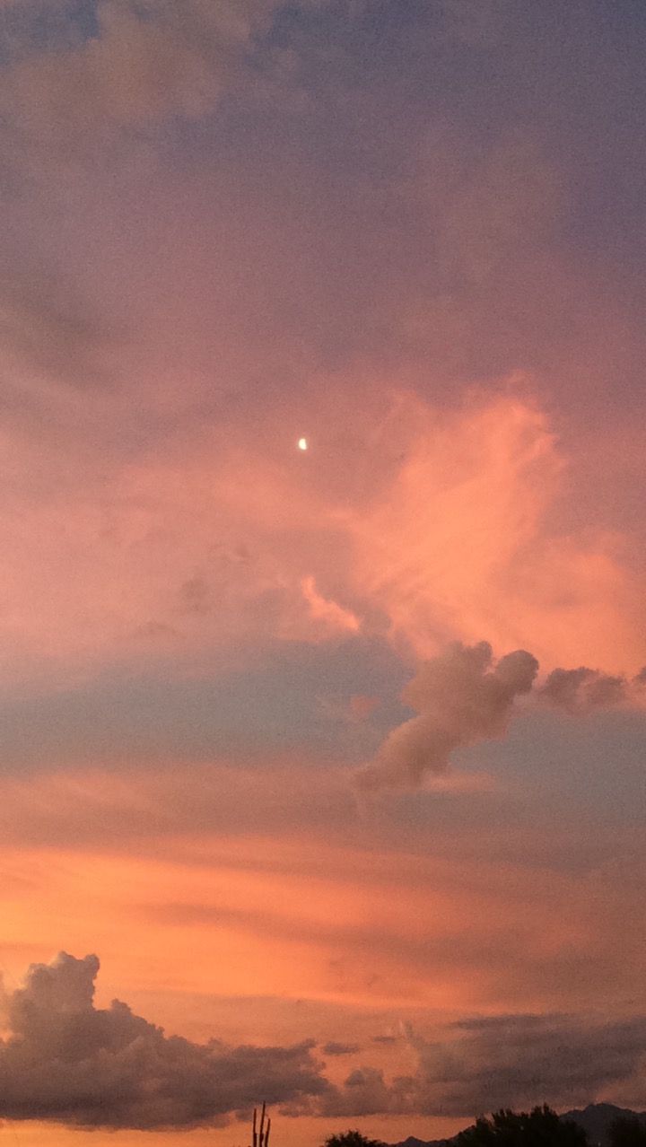 720x1278 peachy | my aesthetic in 2019 | Sky aesthetic, Aesthetic wallpapers