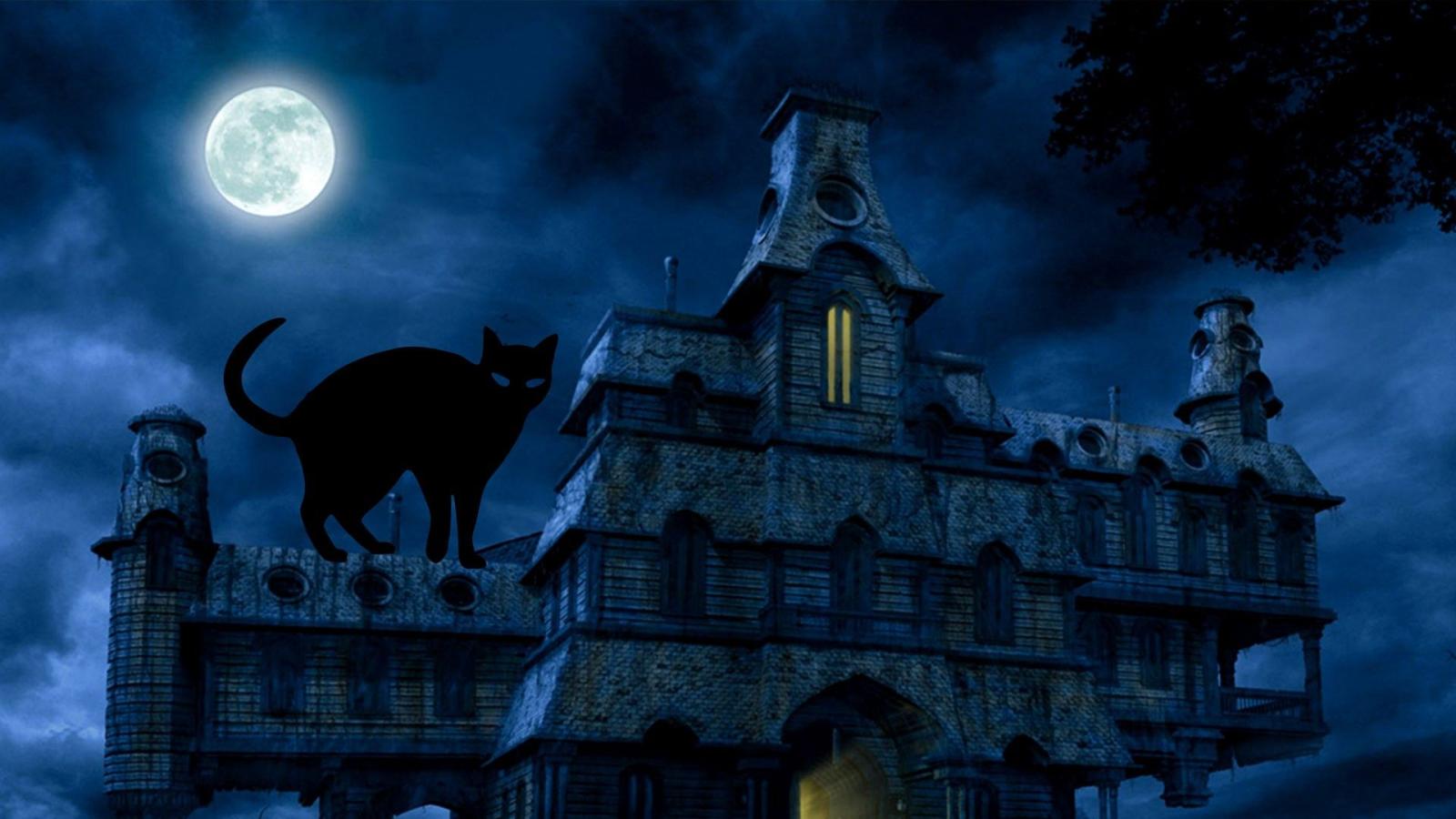 1920x1080 Halloween Black Cat HD Desktop Wallpaper 34676 - Baltana