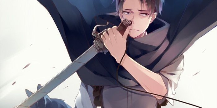 730x1095 Attack On Titan Levi Wallpaper (43+) - HD Nice Wallpapers