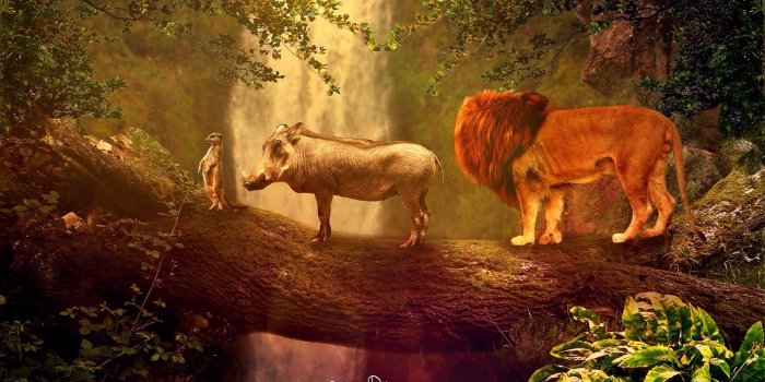 3072x2304 Hakuna Matata Wallpapers