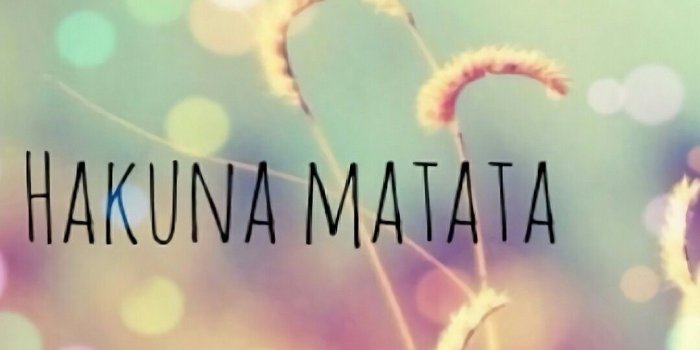 1080x1920 Hakuna Matata Wallpapers (68+ background pictures)