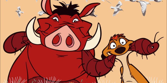 1024x768 lion king - Hakuna Matata Wallpaper (30326284) - Fanpop