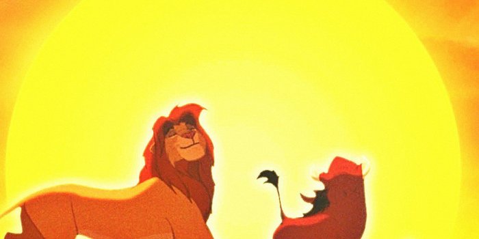 1242x2208 Lion King iPhone Wallpapers - Top Free Lion King iPhone Backgrounds