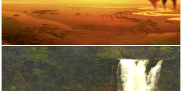 1200x2400 Il Re Leone immagini Real Hakuna Matata HD wallpaper and background