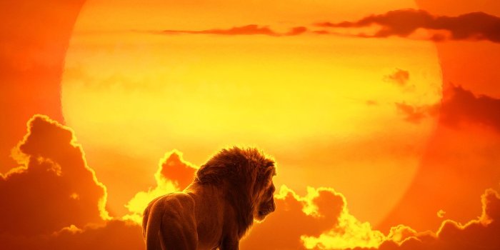 1382x2048 The Lion King (2019) - IMDb