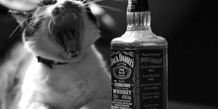 2560x1440 Jack Daniel's Desktop Wallpapers - Top Free Jack Daniel's Desktop