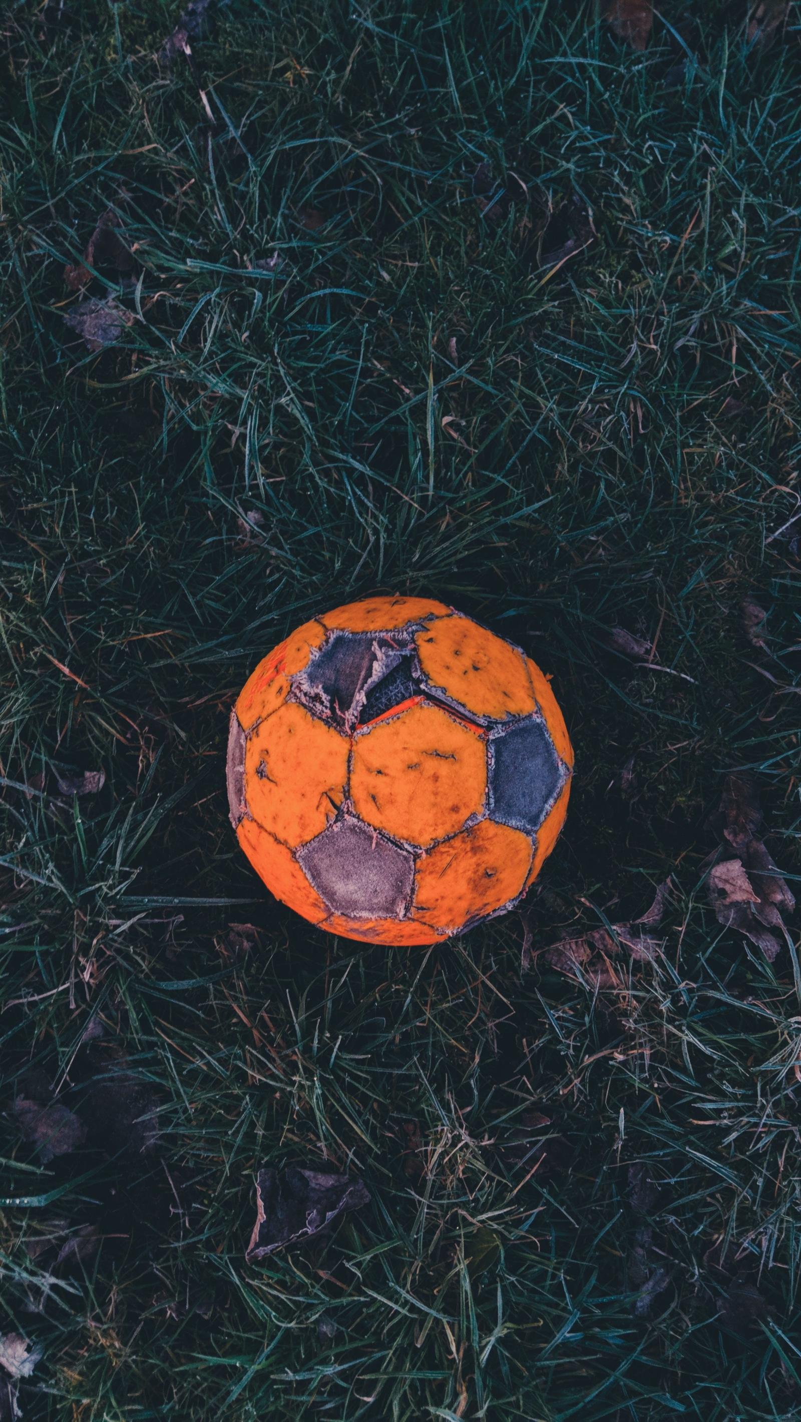 2269x4030 Download wallpaper 2269x4030 soccer ball, football, old, grass