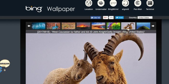 1241x640 Top 10 Most Popular & Best Wallpapers Websites 2019 | Web Visible